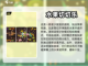 2024必玩🔥免费逗猫小游戏合集🐱截图4