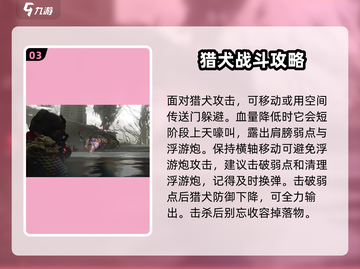 七日世界暗影猎犬🔥通关秘籍💯超详细攻略来啦！截图4