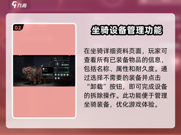 破碎之地🔥坐骑装备怎么取消？一篇搞定！截图3