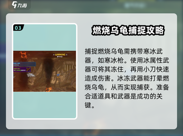 🔥《潜水员戴夫》燃烧的乌龟捕捉秘籍🐢截图4