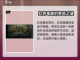 囚笼迷踪💥第1关攻略，轻松通关秘籍💡截图4