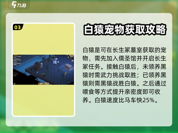 大侠立志传🔥最强宠物竟是它！💡截图4