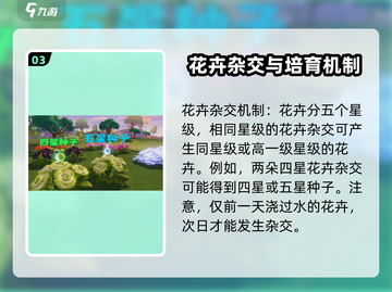 心动小镇🔥扶桑花种植条件全揭秘！🌸截图4