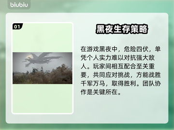 艾尔登法环黑夜君临🔥联机加速器推荐🚀截图2