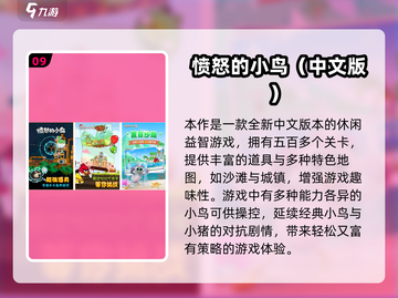 🔥2025最火愤怒的小鸟游戏大揭秘！🎮💥截图10