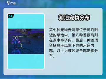 伊莫手游鸢尾花海宠物大揭秘！🐾🎮截图5