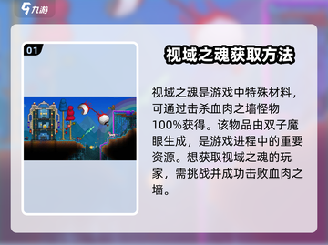 泰拉瑞亚🔥视域之魂获取攻略，轻松搞定！截图2