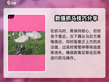 燕云十六声🔥秦马捕捉超全攻略🎉截图4
