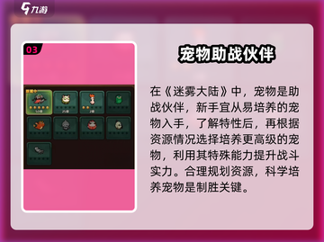 迷雾大陆🔥前期必备攻略，新手必看！截图4