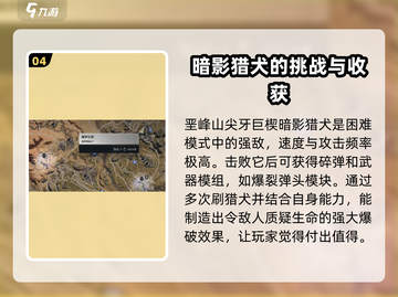 七日世界🔥爆弹战利品获取攻略🎉截图5