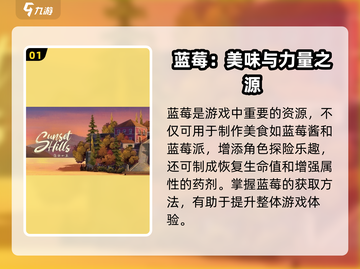 落日山丘蓝莓速找攻略🍓截图2