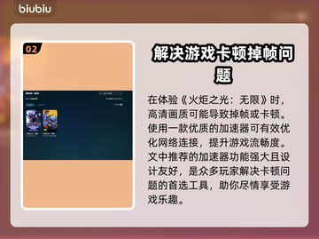 火炬之光无限掉帧？这样解决立马流畅💥🔥截图3