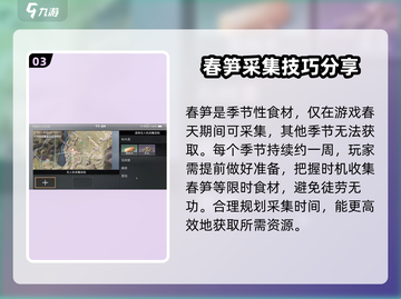 明日之后💥春笋采集地点大揭秘🔥超全攻略来啦！截图4