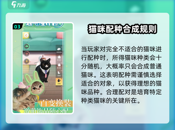超喵星计划💥缅因猫合成攻略-cat星人必看！截图4