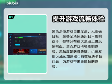 黑色沙漠🔥加速器推荐，玩游戏必备⚡截图2