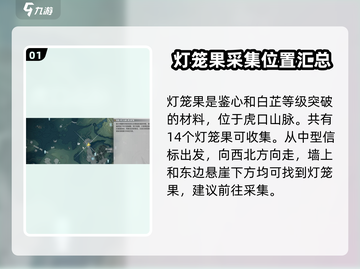 鸣潮🔥灯笼果位置全解密！快收✔截图2