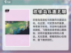 光隙解语欢愉岛乐园🔥超全玩法攻略来啦！截图4