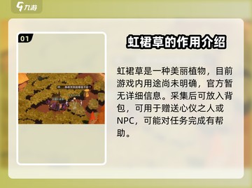 剑与远征2💡：虹裙草全解析，用途+获取一网打尽！截图2