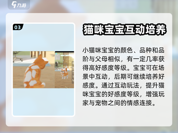 超喵星计划💥携爪获取全攻略✨新手必看！截图4