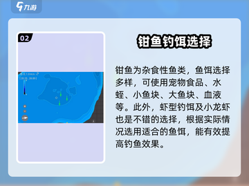 钓鱼星球⭐钳鱼钓法大揭秘！👇必备饵料全在这儿～截图3