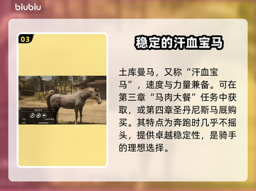 荒野大镖客PC版🔥最强马匹推荐截图4