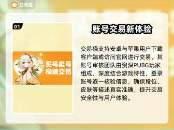 🔥PUBG账号交易去哪？这平台太香了！🎮💥截图2