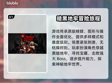 暗黑地牢2🔥加速器选择指南，玩得更爽！截图2