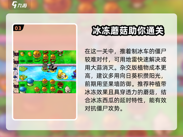 植物大战僵尸杂交版第12关🔥超简单攻略🎉截图4