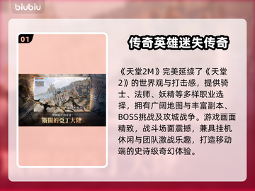 🔥天堂2M加速器选择+卡顿解决全攻略✨截图2