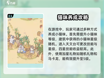 猫咪和汤：灰色猫咪养成秘籍💥🎮截图4