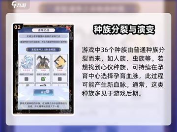 天道创造🔥种族大揭秘！超脱种族数量曝光🎮截图3