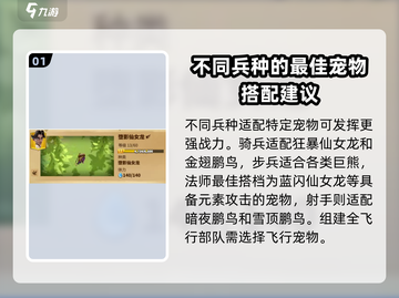 万龙觉醒🔥最强宠物推荐✨选它就对了！截图2