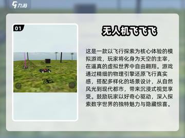 🔥2025最炫无人机游戏合集，沉浸式模拟等你来战！✈截图2
