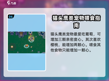 元气骑士前传：宠物喂食大揭秘！💥宠物最爱吃什么？截图7