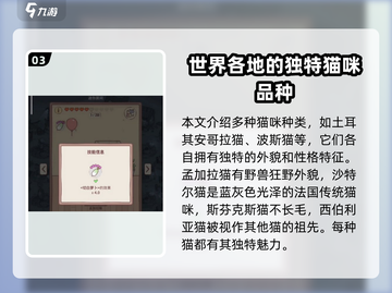 猫咪和汤🔥超详细攻略来了！玩转游戏就靠它👇截图4
