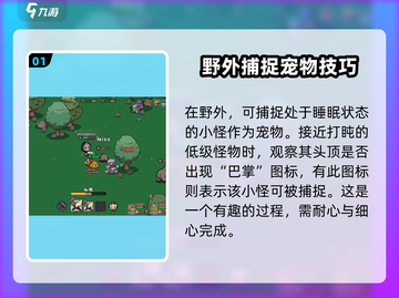 英勇之地😎抓宠物+召唤宠物超全攻略🎉截图2