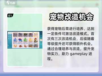 魔力宝贝旅人🔥宠物改造系统玩法大全！✨截图2