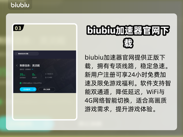 《英灵殿》闪退？这款加速器🔥搞定！🎮截图4