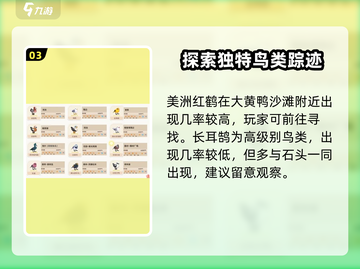 心动小镇🔥最高级鸟类大揭秘！鸽子还是孔雀？截图4