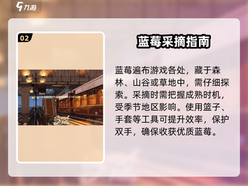 落日山丘蓝莓位置曝光！🍓截图3