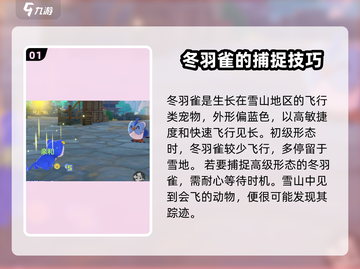 洛克王国世界🔥冬羽雀捕捉超全攻略🎉截图2