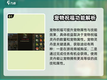 三国群英传宠物祝福大揭秘💥游戏党必看！截图2