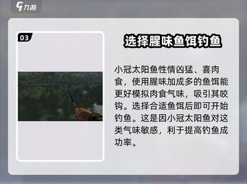 钓鱼星球💥小冠太阳鱼钓法分享🐟截图4