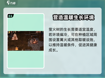 饥荒新家园🔥掌握萤火树种植秘籍，点亮你的家园！截图4