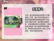 🔥2025最受欢迎对打格斗游戏合集💥截图2