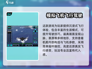 🔥2024最火单机飞行游戏大赏✈截图5