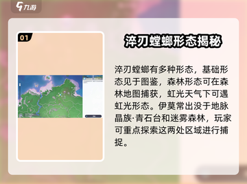 《伊莫》淬刃螳螂太强了！⚡截图2
