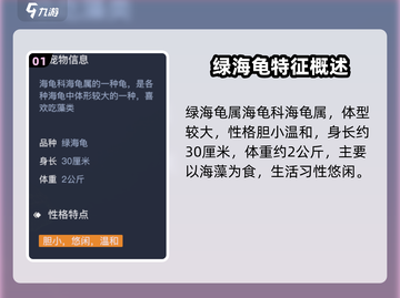 《黎明之海》绿海龟宠物获取大揭秘！🐢✨截图2
