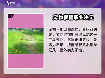 空之勇者手游开局必选宠物🔥助你战力飙升🎉截图2