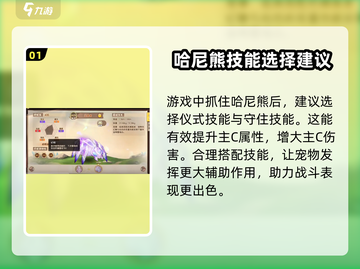 西普大陆手游🔥王晶蛛超强解析来啦！✨截图2